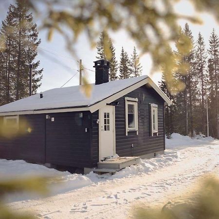 Koselig Hytte I Hemsedal Ngoại thất bức ảnh