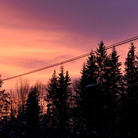 Koselig Hytte I Hemsedal Ngoại thất bức ảnh