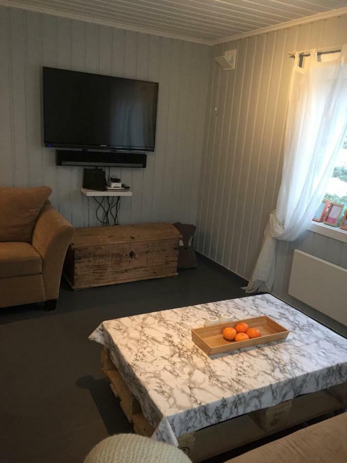 Koselig Hytte I Hemsedal Ngoại thất bức ảnh