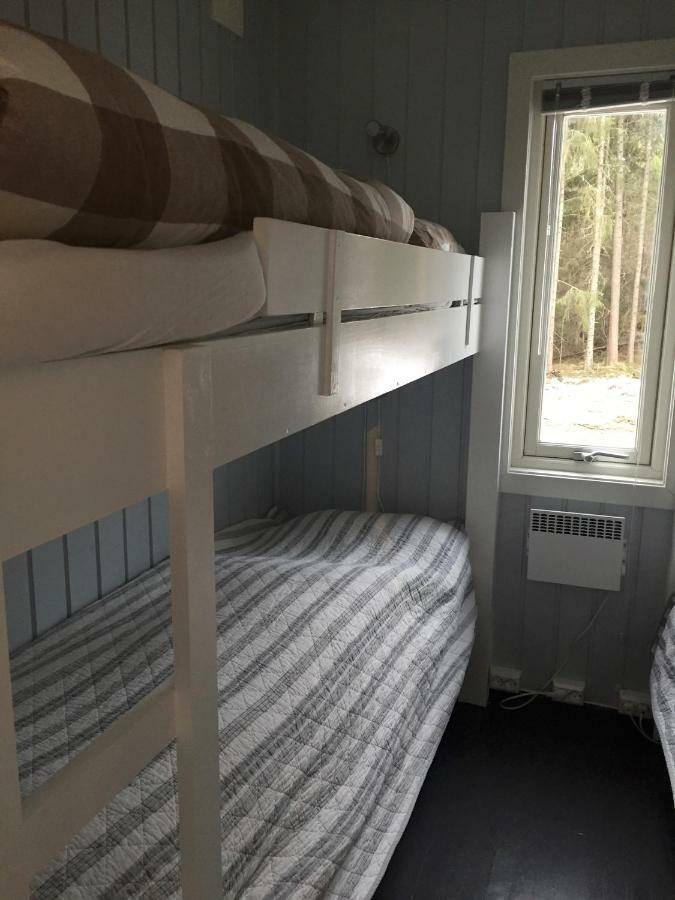 Koselig Hytte I Hemsedal Ngoại thất bức ảnh