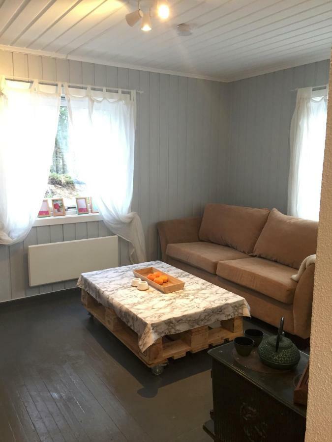 Koselig Hytte I Hemsedal Ngoại thất bức ảnh