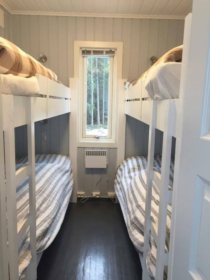 Koselig Hytte I Hemsedal Ngoại thất bức ảnh