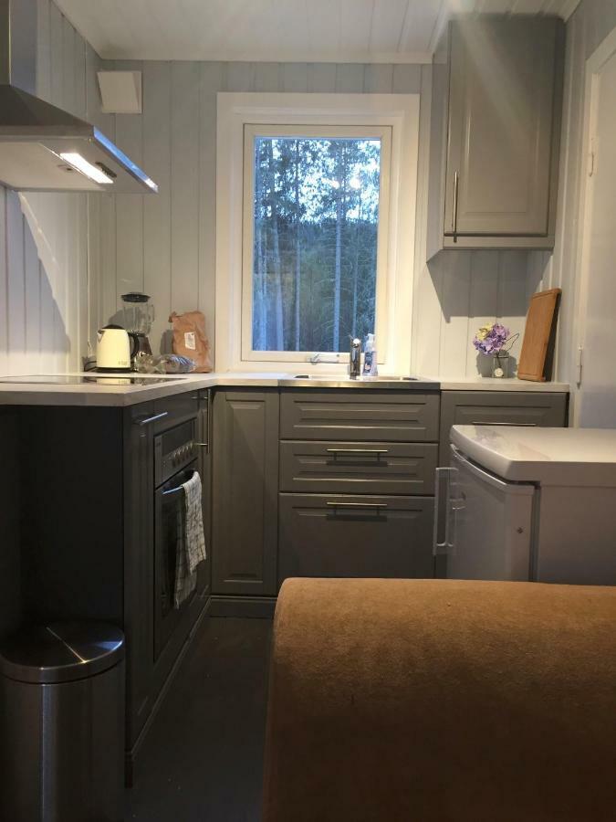 Koselig Hytte I Hemsedal Ngoại thất bức ảnh