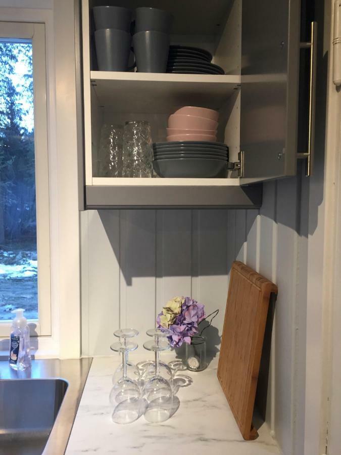 Koselig Hytte I Hemsedal Ngoại thất bức ảnh
