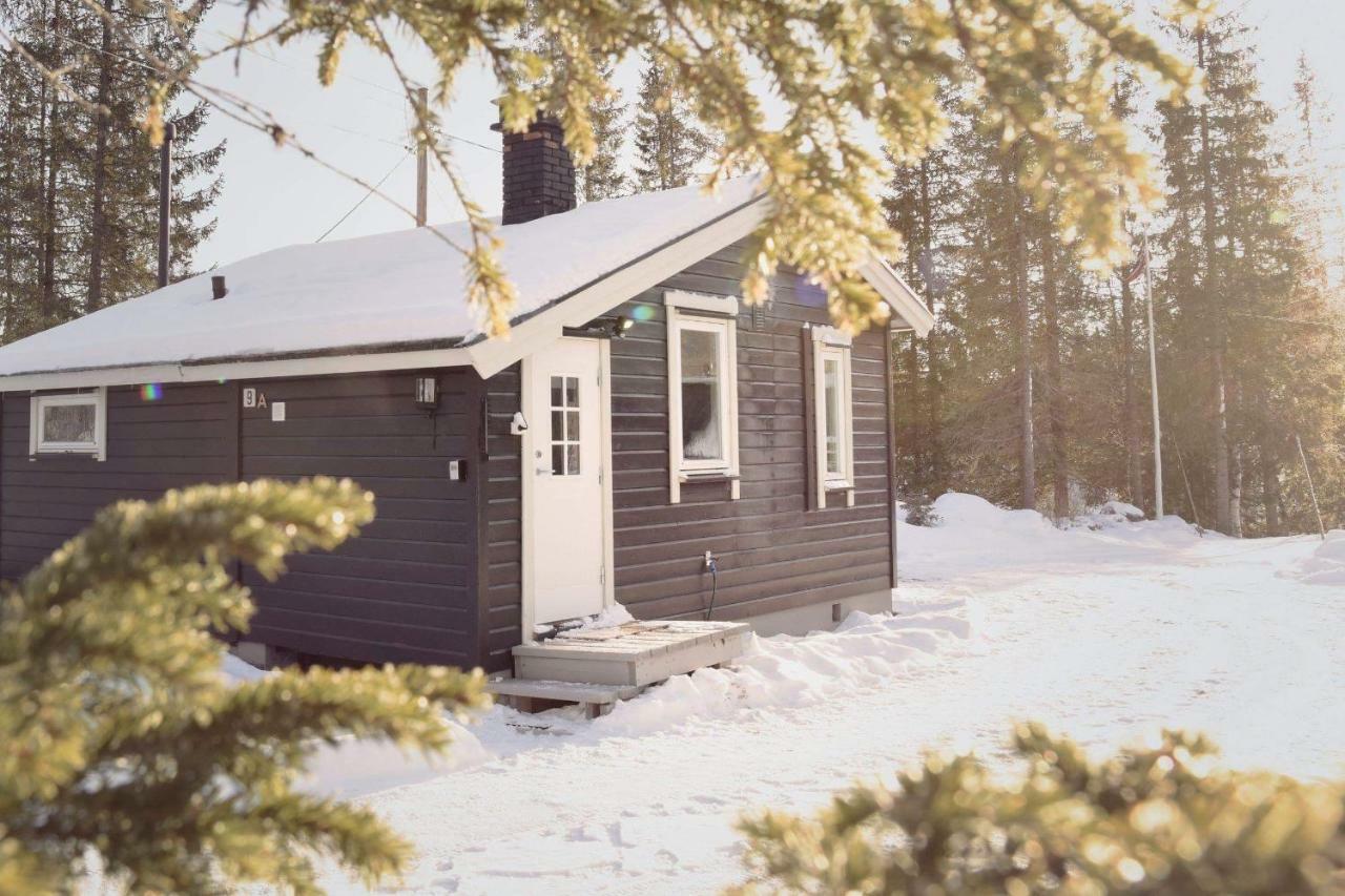 Koselig Hytte I Hemsedal Ngoại thất bức ảnh