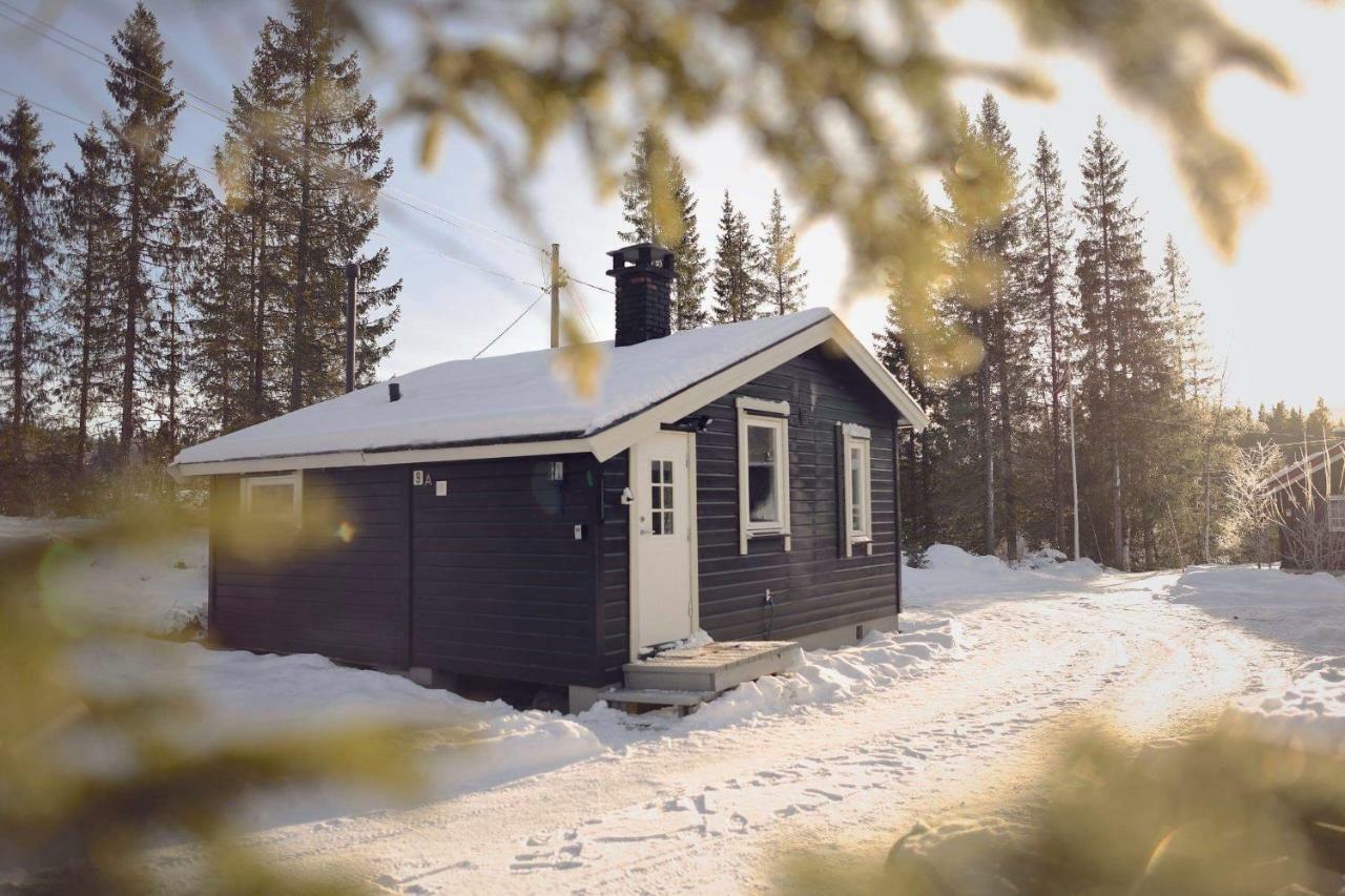 Koselig Hytte I Hemsedal Ngoại thất bức ảnh