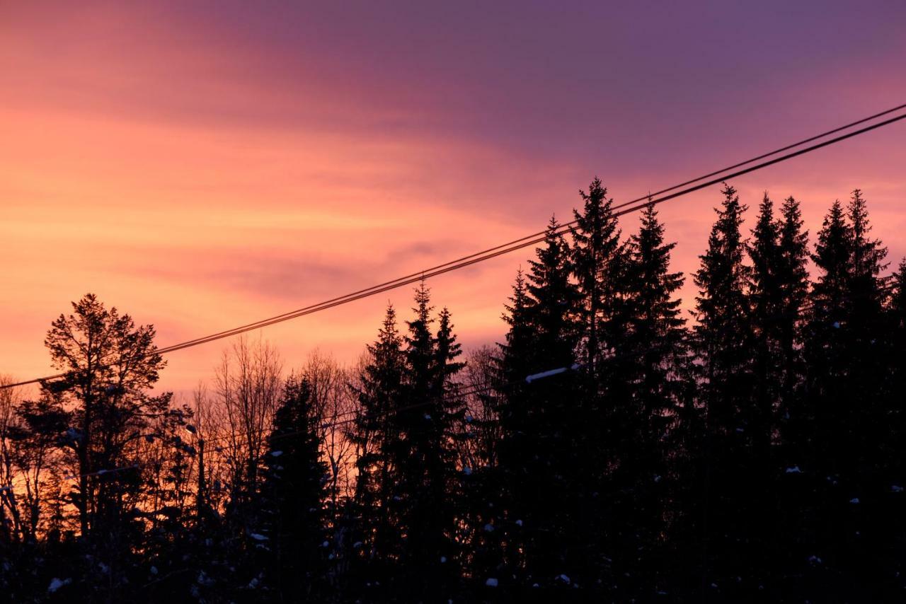 Koselig Hytte I Hemsedal Ngoại thất bức ảnh