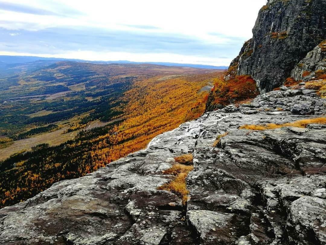 Koselig Hytte I Hemsedal Ngoại thất bức ảnh
