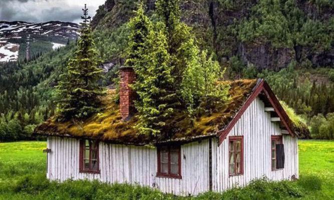Koselig Hytte I Hemsedal Ngoại thất bức ảnh