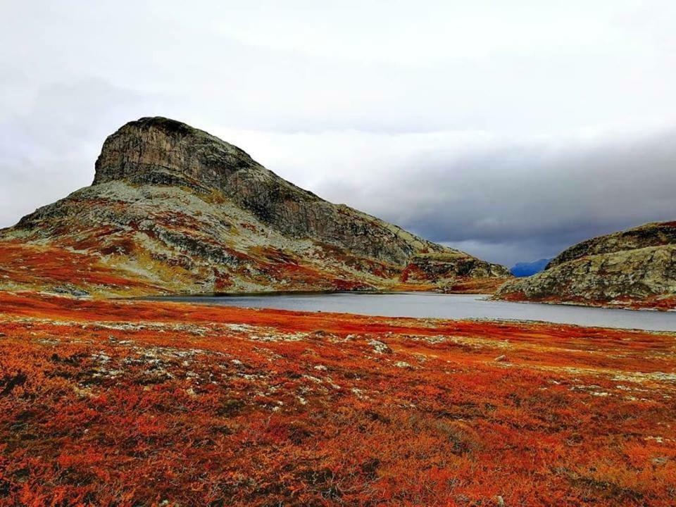 Koselig Hytte I Hemsedal Ngoại thất bức ảnh