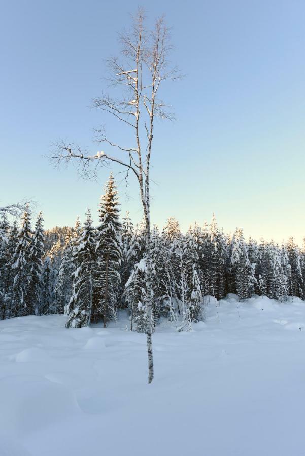 Koselig Hytte I Hemsedal Ngoại thất bức ảnh